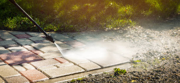 Best Animal Enclosure Cleaning  in Dunnstown, PA